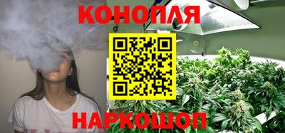 индика Тверь