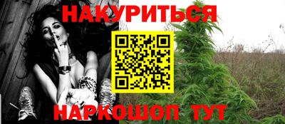 крисы Татарск