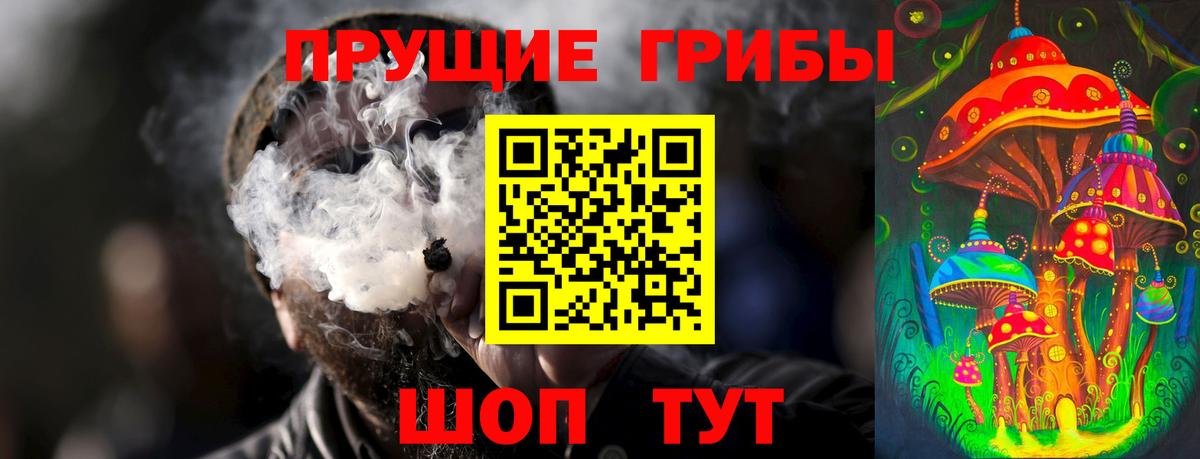 Луга  Псилоцибиновые грибы прущие грибы  Вход с VPN  Псилоцибиновые грибы ЛСД 